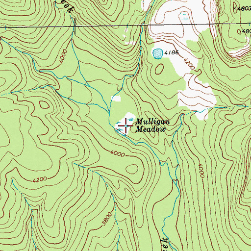 Topographic Map of Mulligan Meadow, WA