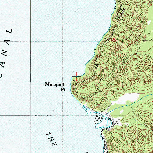 Topographic Map of Musqueti Point, WA