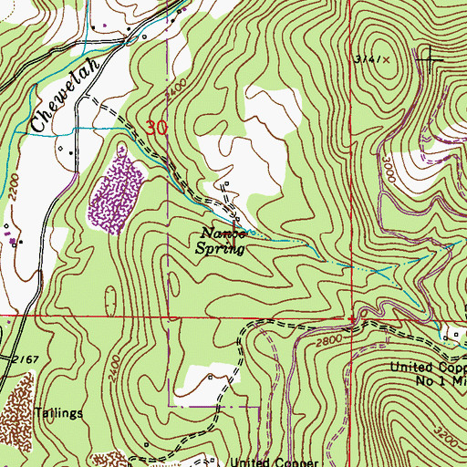 Topographic Map of Nance Spring, WA