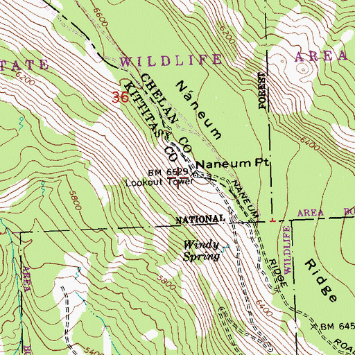 Topographic Map of Naneum Point, WA