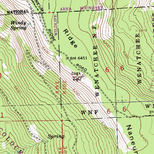 Topographic Map of Naneum Ridge, WA