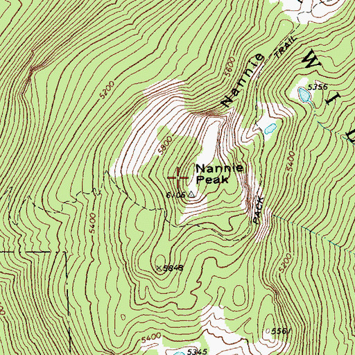 Topographic Map of Nannie Peak, WA