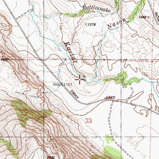 Topographic Map of Nason Creek, WA