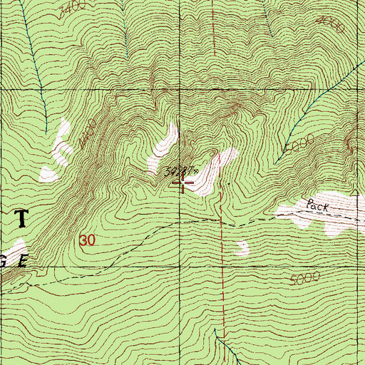Topographic Map of Nason Ridge, WA