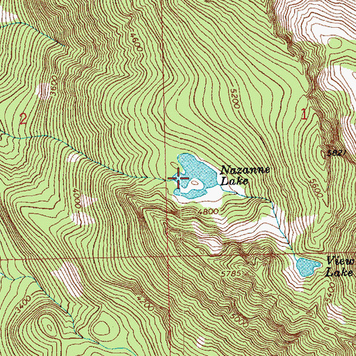 Topographic Map of Nazanne Lake, WA