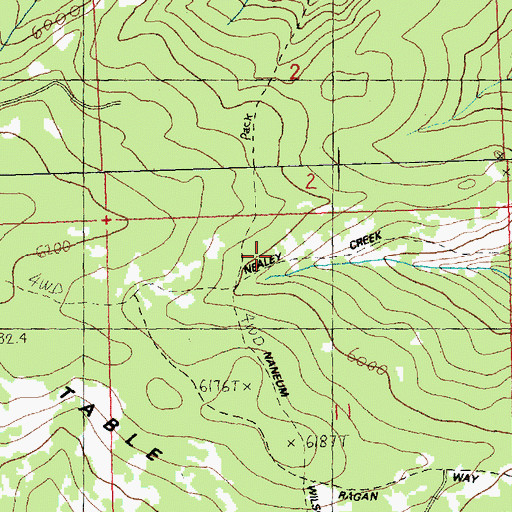 Topographic Map of Nealey Creek Trail, WA