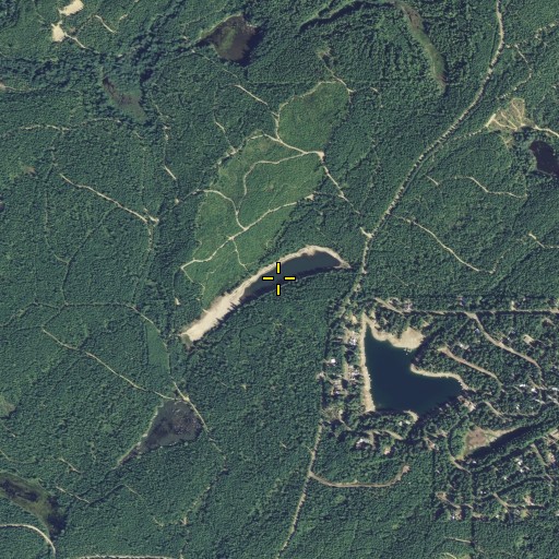 Aerial/Satellite Image of Grass Lake, WA
