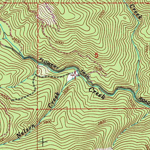 Topographic Map of Nelson Creek, WA