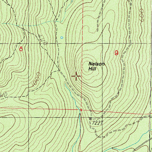 Topographic Map of Nelson Hill, WA