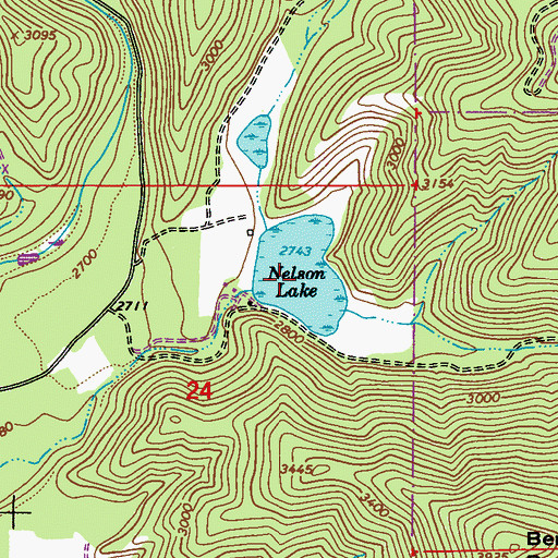 Topographic Map of Nelson Lake, WA