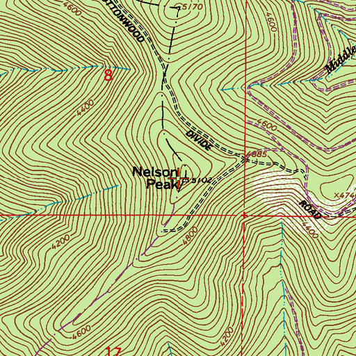 Topographic Map of Nelson Peak, WA
