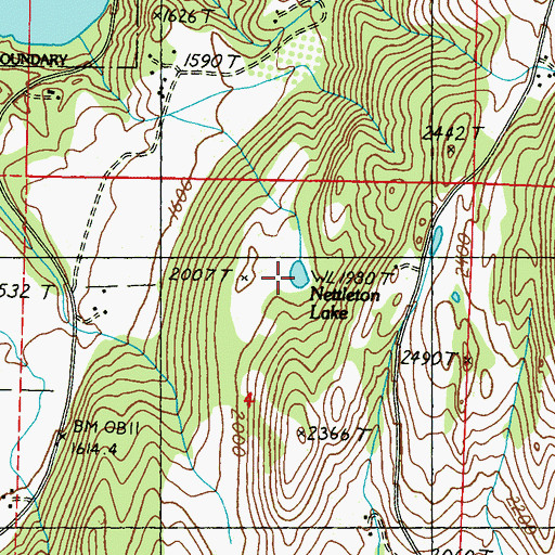Topographic Map of Nettleton Lake, WA