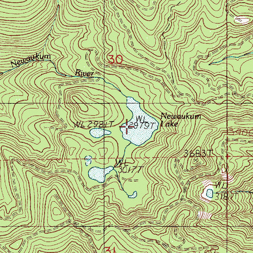 Topographic Map of Newaukum Lake, WA