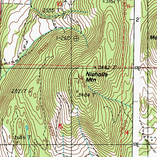 Topographic Map of Nicholls Mountain, WA