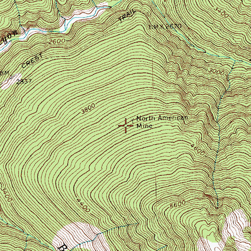 Topographic Map of North American Mine, WA