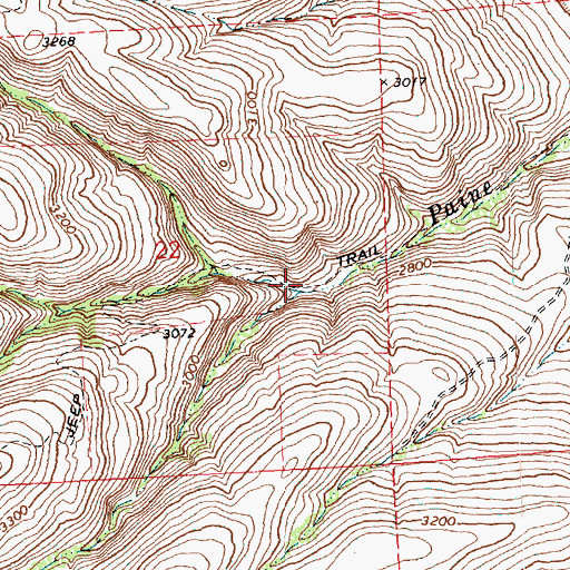 Topographic Map of North Fork Paine Creek, WA