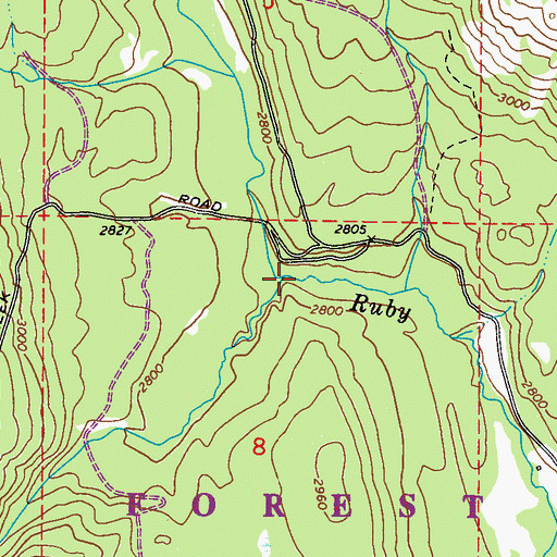 Topographic Map of North Fork Ruby Creek, WA