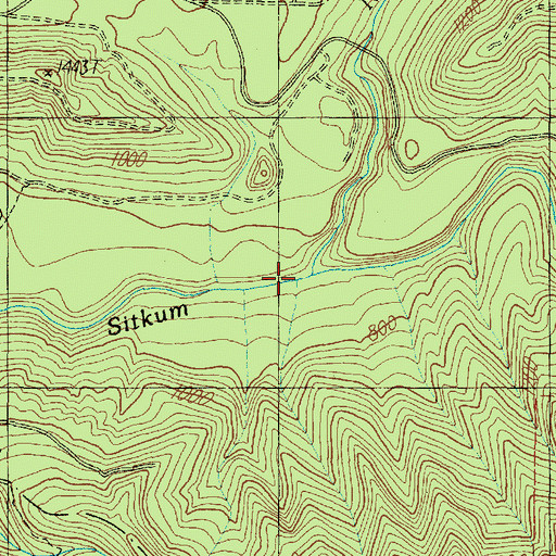 Topographic Map of North Fork Sitkum River, WA