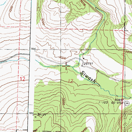 Topographic Map of North Fork Siwash Creek, WA