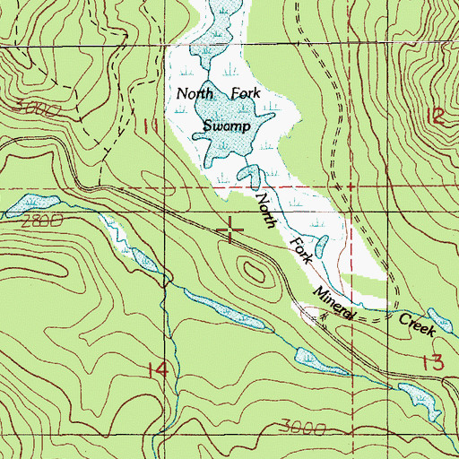 Topographic Map of North Fork Swamp, WA