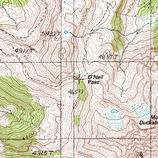 Topographic Map of O'Neil Pass, WA