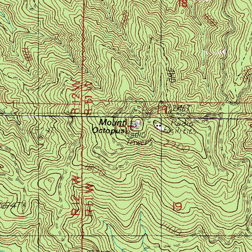 Topographic Map of Mount Octopus, WA