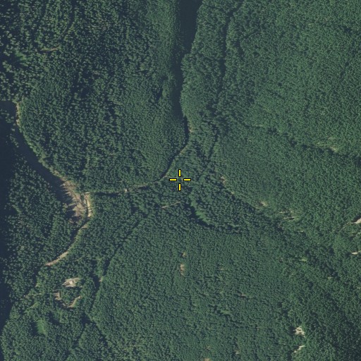Aerial/Satellite Image of Ohanapecosh Hot Springs, WA