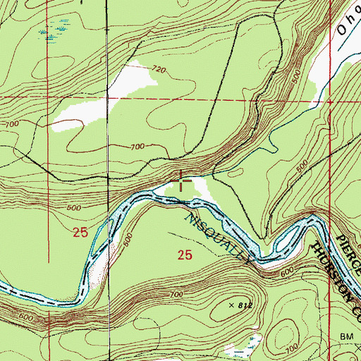 Topographic Map of Ohop Creek, WA