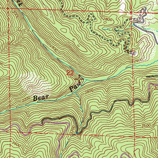 Topographic Map of Ojibway Creek, WA