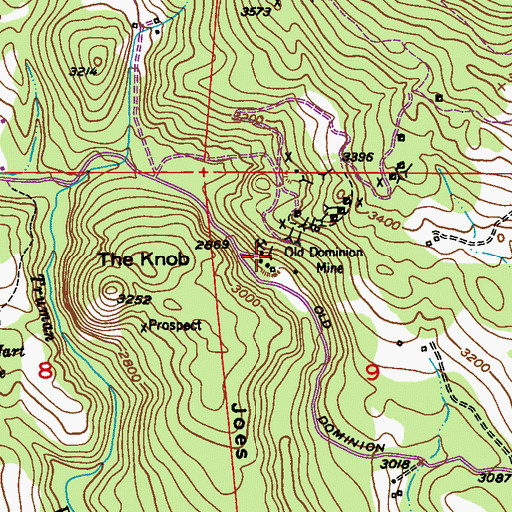 Topographic Map of Old Dominion Mine, WA