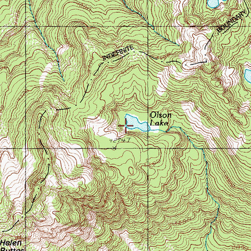 Topographic Map of Olson Lake, WA