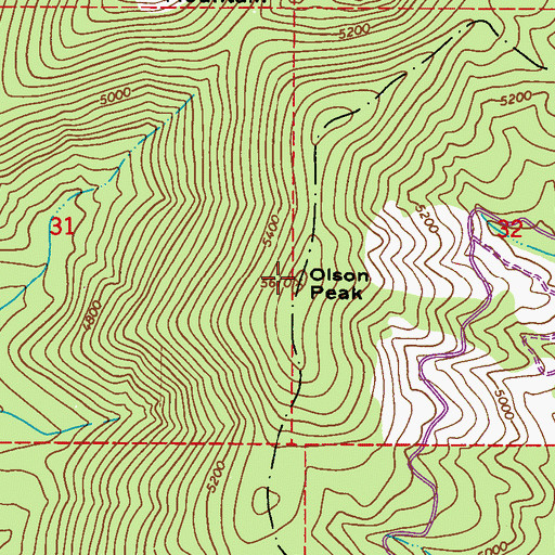 Topographic Map of Olson Peak, WA