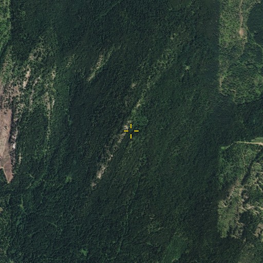Aerial/Satellite Image of Onion Mountain, WA