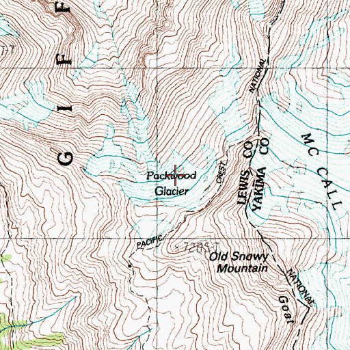 Topographic Map of Packwood Glacier, WA