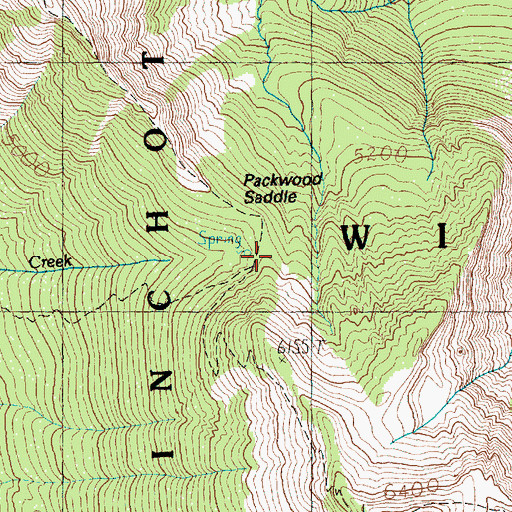 Topographic Map of Packwood Saddle, WA