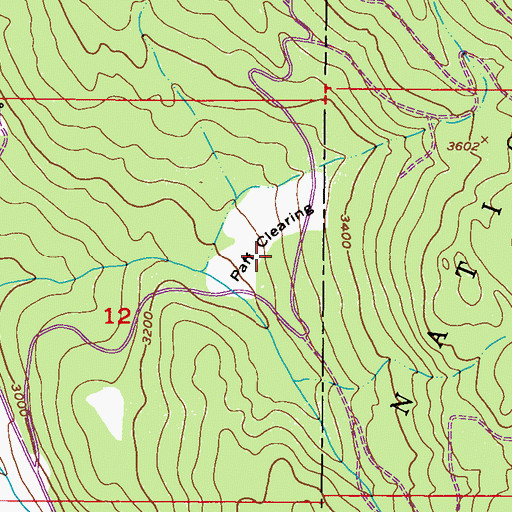 Topographic Map of Paff Clearing, WA