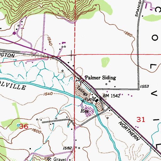 Topographic Map of Palmer Siding, WA