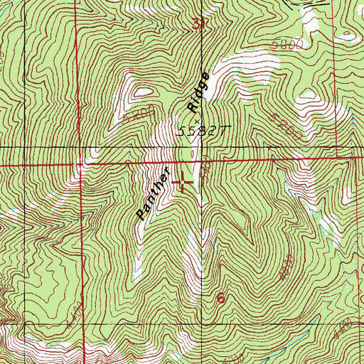 Topographic Map of Panther Ridge, WA