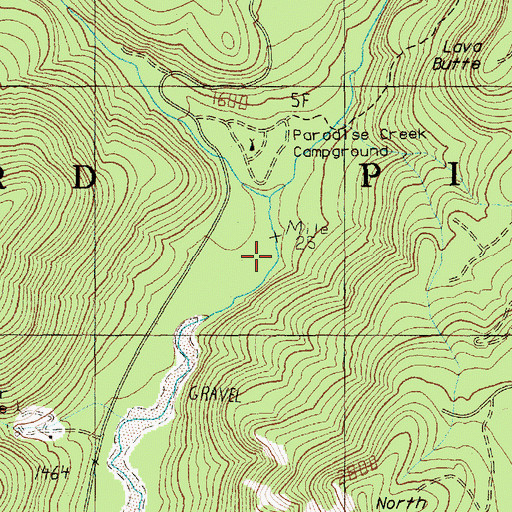 Topographic Map of Paradise Creek, WA