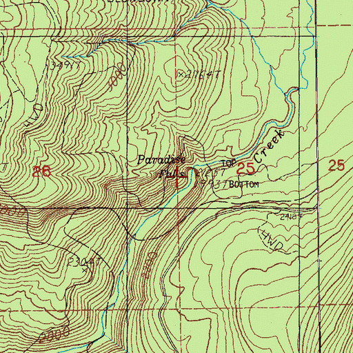 Topographic Map of Paradise Falls, WA