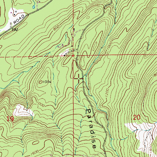 Topographic Map of Paradise Valley, WA