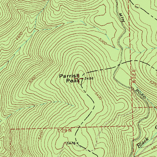 Topographic Map of Parrish Peak, WA