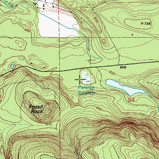 Topographic Map of Parsnip Swamp, WA