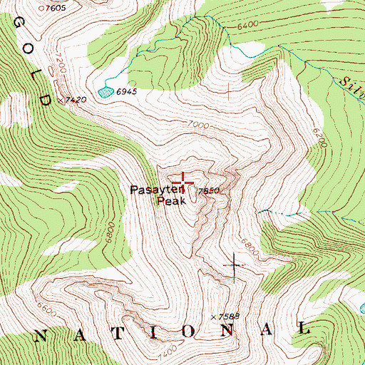 Topographic Map of Pasayten Peak, WA
