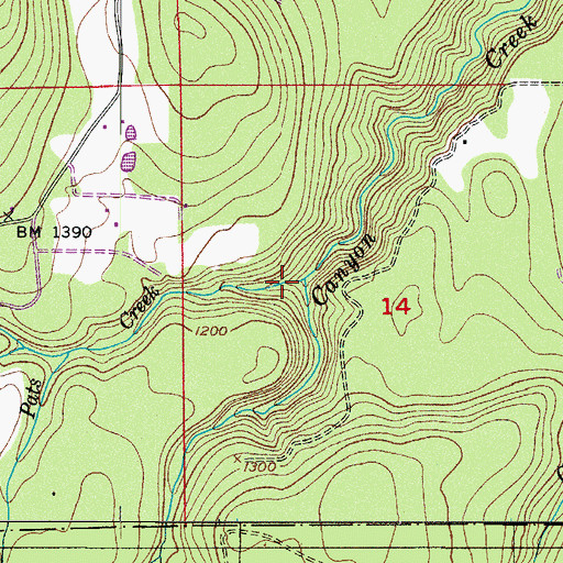 Topographic Map of Pats Creek, WA
