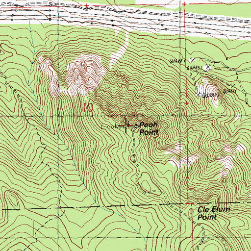 Topographic Map of Peoh Point, WA