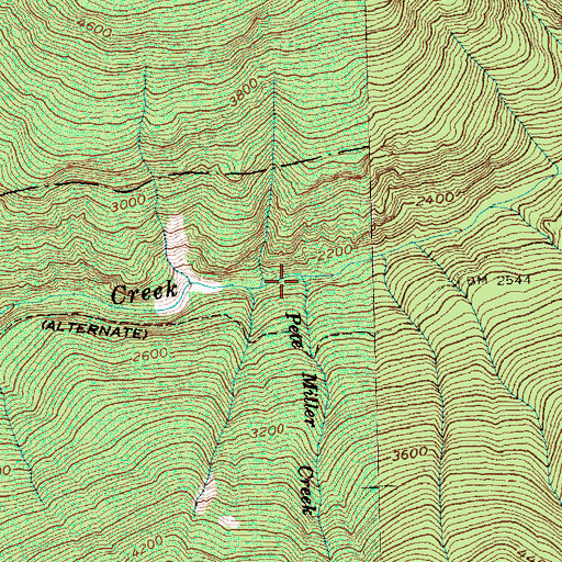 Topographic Map of Pete Miller Creek, WA