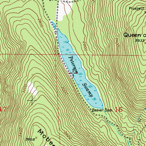 Topographic Map of Peterson Swamp, WA