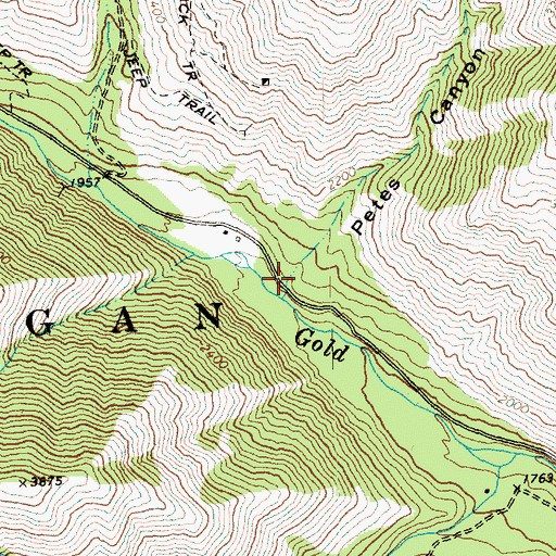 Topographic Map of Petes Canyon, WA