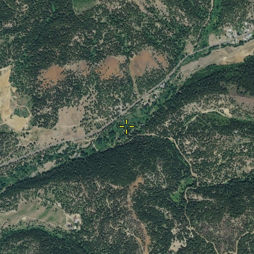 Aerial/Satellite Image of Pine Gulch, WA